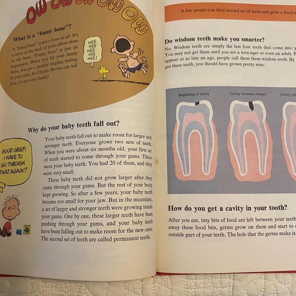 Charlie Brown's 'Cyclopedia Volume 1 Book - Picture 6 of 8